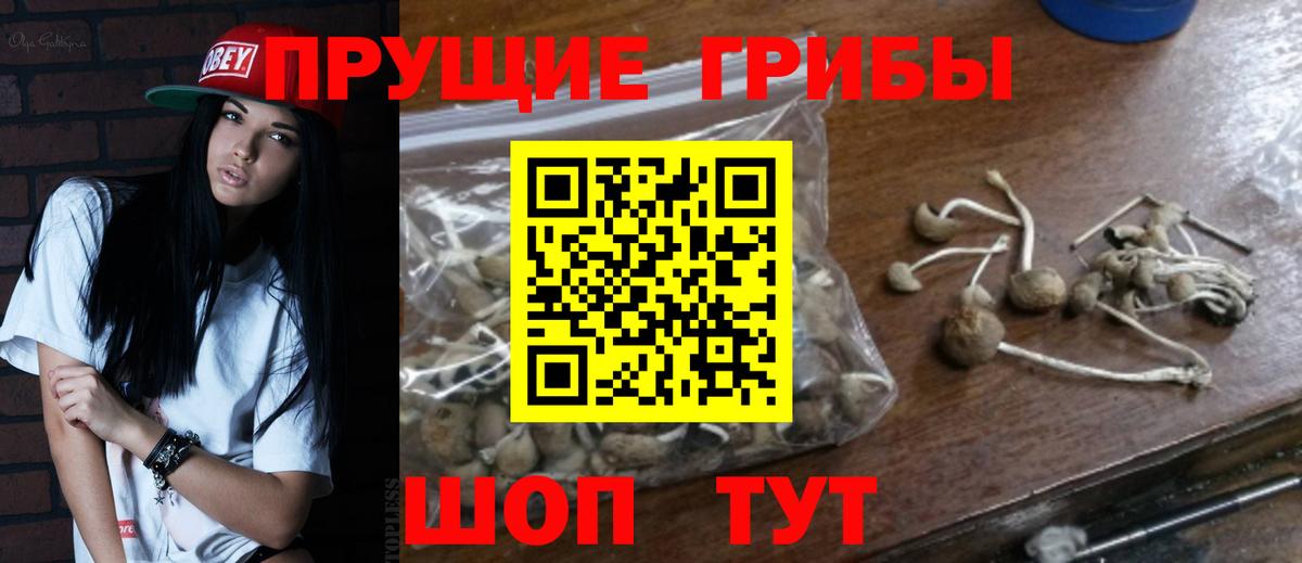 Псилоцибиновые грибы GOLDEN TEACHER  Вход с VPN  Псилоцибиновые грибы ЛСД  Благодарный 